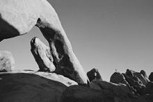 Workshops, September 07, 2026, 09/07/2026, Analogue Film Photography 101