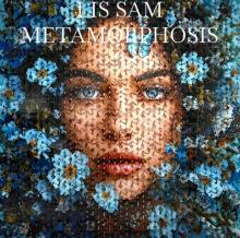 Opening Receptions, September 10, 2026, 09/10/2026, Metamorphosis: Solo Butterfly Motif Exhibition&nbsp;