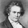 Concerts, October 04, 2026, 10/04/2026, Music on the Water: Beethoven's Piano Sonatas