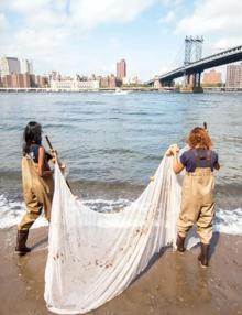 Workshops, September 20, 2026, 09/20/2026, Discover the Biodiversity of the East River