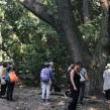 Park Walks, October 09, 2026, 10/09/2026, Forest Bathing - A Guided Mindful Nature Exploration