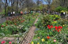 Festivals, October 18, 2026, 10/18/2026, Live Music in the Garden