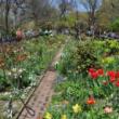 Festivals, October 18, 2026, 10/18/2026, Live Music in the Garden