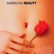 Films, September 18, 2026, 09/18/2026, American Beauty (1999): Black Comedy Psychological Drama