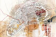 Galleriess, September 20, 2026, 09/20/2026, Musselquest:&nbsp;Closing Reception for Exhibition on Native Mussels