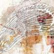 Galleriess, September 20, 2026, 09/20/2026, Musselquest:&nbsp;Closing Reception for Exhibition on Native Mussels