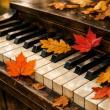 Concerts, October 06, 2026, 10/06/2026, Acclaimed Pianist in Recital