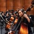 Concerts, October 14, 2026, 10/14/2026, Orchestral Works by Copland, Sibelius, & More (In Person AND Online!)