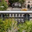 Discussions, October 08, 2026, 10/08/2026, Panel & Discussion on NYC Green Spaces with Horticulture Experts