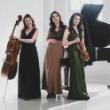 Concerts, October 26, 2026, 10/26/2026, Works by Rachmaninoff, Ravel, & More for Violin, Cello, Piano, & Clarinet