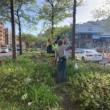 Birdwatchings, September 20, 2026, 09/20/2026, Celebrating Urban Biodiversity with NYC Bird Alliance