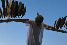 Installations, September 27, 2026, 09/27/2026, Right to Flight: Performance Reimagining a City for Migratory Birds