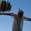 Installations, September 27, 2026, 09/27/2026, Right to Flight: Performance Reimagining a City for Migratory Birds