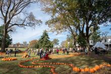 Festivals, October 24, 2026, 10/24/2026, Autumn Pumpkin Festival: Costumes, Pumpkins, Food, & More