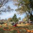 Festivals, October 24, 2026, 10/24/2026, Autumn Pumpkin Festival: Costumes, Pumpkins, Food, & More