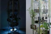 Gallery Talks, October 08, 2026, 10/08/2026, Photographer & Educator&nbsp;Explores His Practices in Cameraless Photography, Ecology, and Environmental Research