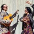 Concerts, November 06, 2026, 11/06/2026, Music Grounded in the Language of Historic Flamenco Palos