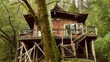Discussions, October 13, 2026, 10/13/2026, Architecture Experts Discuss the Radical Architecture of the 1960s Back-to-the-Land Movement (In Person AND Online!)