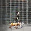 Opening Receptions, October 01, 2026, 10/01/2026, OUT OF LINE: Solo Exhibition of Compositions Centered on the Line