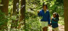 Park Walks, October 03, 2026, 10/03/2026, Family-Friendly Morning of Discovery for City of Forest Day