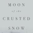 Book Clubs, November 16, 2026, 11/16/2026, Book Discussion:&nbsp;Moon of the Cursed Snow&nbsp;by&nbsp;Waubgeshig Rice