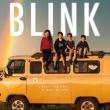 Movie in a Parks, October 08, 2026, 10/08/2026, Film Fest: Blink (2024) -- Documentary (Outdoors)