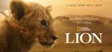 Movie in a Parks, October 09, 2026, 10/09/2026, Film Fest:&nbsp;Lion (2026): Nature&nbsp;Documentary&nbsp;(Outdoors)