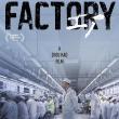 Screenings, October 31, 2026, 10/31/2026, Factory (2025): Labor Documentary (+ Filmmaker Discussion)