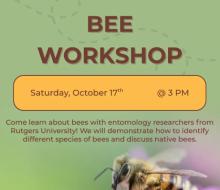 Workshops, October 17, 2026, 10/17/2026, Rutgers University Researchers Lead Lesson on Local Bees