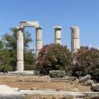 Lectures, November 05, 2026, 11/05/2026, Princeton Archeologist Discusses the Traveling&nbsp;Craftsmen of Ancient Greece