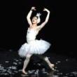 Dance Performances, November 30, 2026, 11/30/2026, World's Foremost Gender-Skewering Comic Ballet Company Shares Archival Footage + Live Performance