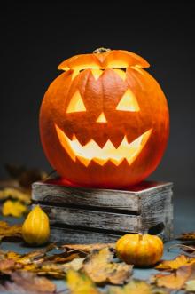 Parades, October 17, 2026, 10/17/2026, Hallowen Costume Dog Parade + Costume Contest