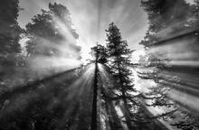 Workshops, October 21, 2026, 10/21/2026, Techniques & Insights for&nbsp;Using&nbsp;Light To Transform Your Photographs