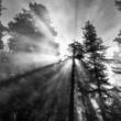 Workshops, October 21, 2026, 10/21/2026, Techniques & Insights for&nbsp;Using&nbsp;Light To Transform Your Photographs