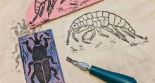 Workshops, October 11, 2026, 10/11/2026, Linocut Printing on Fabric: Bring Your Own Items