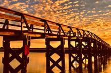 Workshops, November 05, 2026, 11/05/2026, How To Level-Up Your Smartphone Photography (+ Photowalk)