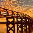 Workshops, November 05, 2026, 11/05/2026, How To Level-Up Your Smartphone Photography (+ Photowalk)