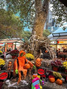 Festivals, October 24, 2026, 10/24/2026, K-Pop Halloween Party in the Park