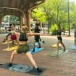 Workshops, October 17, 2026, 10/17/2026, Yoga Reset in the Park