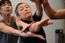 Dance Performances, November 14, 2026, 11/14/2026, Toad Mountain:&nbsp;Work-in-Progress Contemporary Dance Performance Inspired by Folklore