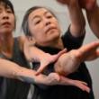 Dance Performances, November 14, 2026, 11/14/2026, Toad Mountain:&nbsp;Work-in-Progress Contemporary Dance Performance Inspired by Folklore