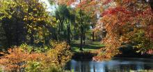 Park Walks, October 24, 2026, 10/24/2026, Fall Photography Tour through a Park Landscape