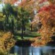 Park Walks, October 24, 2026, 10/24/2026, Fall Photography Tour through a Park Landscape