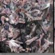 Talks, November 12, 2026, 11/12/2026, Interdisciplinary Artist Shares His Techniques of "Hallucinatory" Drawing (In Person AND Online!)