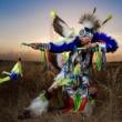 Festivals, November 27, 2026, 11/27/2026, Different Styles of Pow Wow Dance in Celebration of&nbsp;Native American Heritage Day