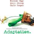 Films, November 21, 2026, 11/21/2026, Adaptation (2002): Comedy-Drama Starring Meryl Streep & Nicolas Cage