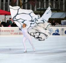 Dance Performances, November 03, 2026, 11/03/2026, Live Ice Choreography