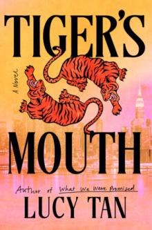 Book Discussions, November 17, 2026, 11/17/2026, McSweeney's-Featured Writer Discusses Her New Book,&nbsp;Tiger's Mouth
