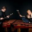 Concerts, November 19, 2026, 11/19/2026, Balkan grooves, Viennese Waltz Rhythms, & Works by J.S. Bach, Beethoven, Ravel, Schubert, & More for Marimba