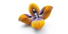Opening Receptions, November 16, 2026, 11/16/2026, Jewelry Exhibition: Stories in Wearable Form